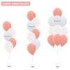 [Choose No. of Balloons] in a bouquet - Standard Metallic Color Balloons