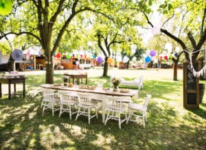 Matching Balloon Decor To Your Birthday Picnic's Theme